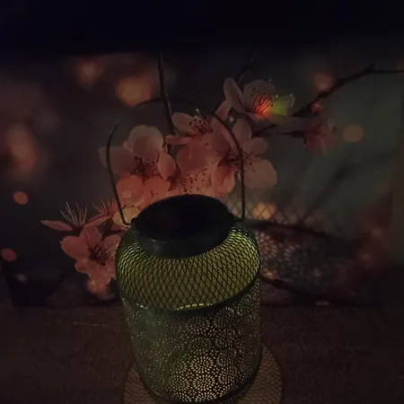 De L'amazone A La Savane 圣莫里斯-德拜伊